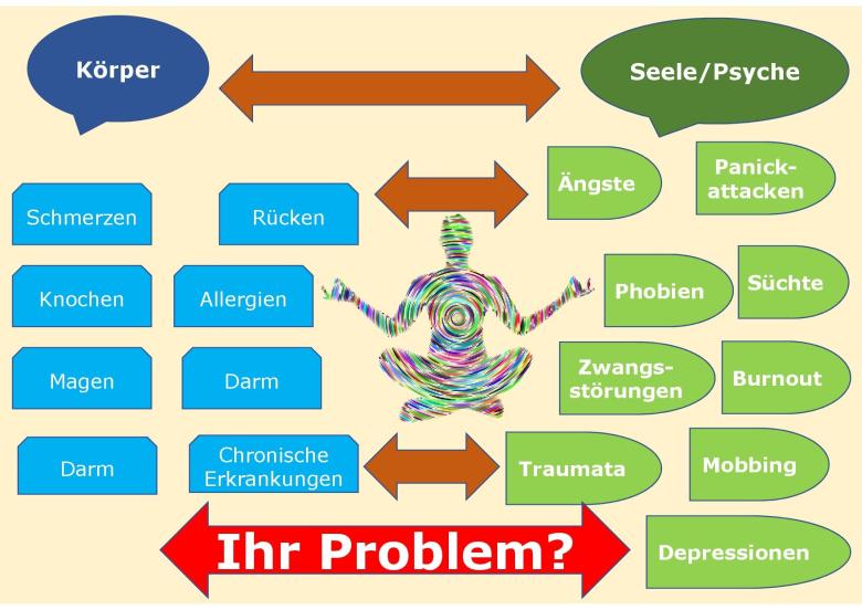 Gesamtsystem Mensch 